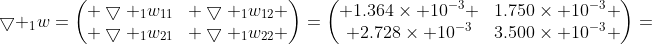 \bigtriangledown _{1}w=\begin{pmatrix} \bigtriangledown _{1}w_{11}& \bigtriangledown _{1}w_{12} \\ \bigtriangledown _{1}w_{21}& \bigtriangledown _{1}w_{22} \end{pmatrix}=\begin{pmatrix} 1.364\times 10^{-3} &1.750\times 10^{-3} \\ 2.728\times 10^{-3}&3.500\times 10^{-3} \end{pmatrix}