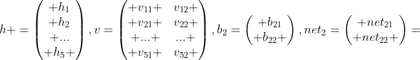 h =\begin{pmatrix} h_{1}\\ h_{2}\\ ...\\ h_{5} \end{pmatrix},v=\begin{pmatrix} v_{11} &v_{12} \\ v_{21} &v_{22} \\ ... &... \\ v_{51} &v_{52} \end{pmatrix},b_{2}=\begin{pmatrix} b_{21}\\ b_{22} \end{pmatrix},net_{2}=\begin{pmatrix} net_{21}\\ net_{22} \end{pmatrix}