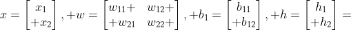 x=\begin{bmatrix}x_{1}\\ x_{2}\end{bmatrix}, w=\begin{bmatrix}w_{11} &w_{12} \\ w_{21}&w_{22} \end{bmatrix}, b_{1}=\begin{bmatrix}b_{11}\\ b_{12}\end{bmatrix}, h=\begin{bmatrix}h_{1}\\ h_{2}\end{bmatrix}