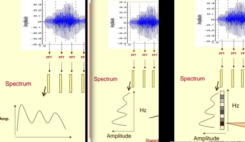 FFT (spectrum)  ——>  rotated 90 ( spectrum )  --->  project amplitude 