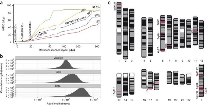 figure4