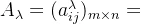 A_{\lambda}=(a_{ij}^{\lambda})_{m\times n}